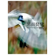 黑面琵鷺全紀錄