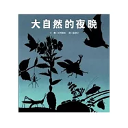 大自然的夜晚