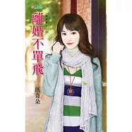 離婚不單飛：單身巷之一