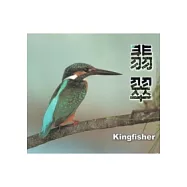 翡翠：金門翡翠科鳥類生態紀實