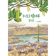 到紅樹林去玩