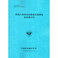棧橋式碼頭面版腐蝕劣損調查與維護(2/2) [藍灰色]
