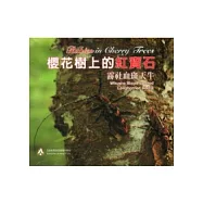 櫻花樹上的紅寶石：霧社血斑天牛(無書，DVD)