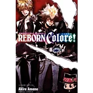 家庭教師HITMAN REBORN! 公式視覺書 全
