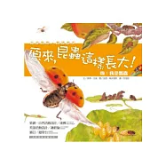 嗨!我是瓢蟲：原來，昆蟲這樣長大!