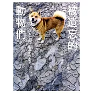 被遺忘的動物們：日本福島第一核電廠警戒區紀實