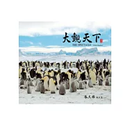 大觀天下：極地