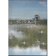 水陸之間：大鵬灣濕地及小琉球潮間帶