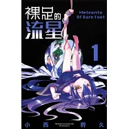 裸足的流星(1)