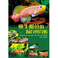 卵生(魚將)魚的飼育與賞析