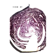 88首自選(第五版)