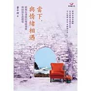 當下，與情緒相遇：諮商心理師的情緒理解與自我生命歷程