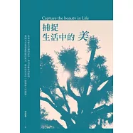捕捉生活中的美