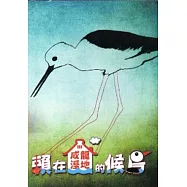 賴在成龍濕地的候鳥