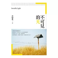 不可見的光：井迎兆散文集