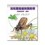 昆蟲音樂家：蟋蟀-法布爾爺爺教我的事