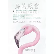 鳥的感官：當一隻鳥是什麼感覺?