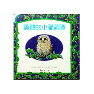 勇敢的小貓頭鷹