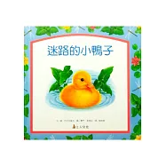 迷路的小鴨子