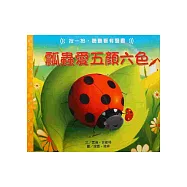 瓢蟲愛五顏六色