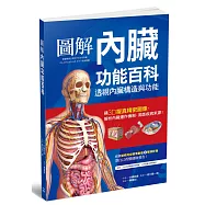 圖解內臟功能百科