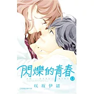 閃爍的青春 13完