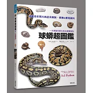 球蟒超圖鑑：一本掌握球蟒生態及觀賞要點