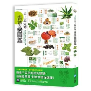 史上最完整青草藥圖鑑：從選購、保存、功效到料理，各種症狀都能對症下藥!