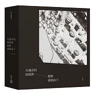 在城市的時間裡輕輕滴淌而下