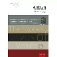 威尼斯之石