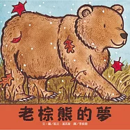 老棕熊的夢