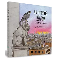 城市裡的鳥巢：鳥兒們「窩」在哪裡?