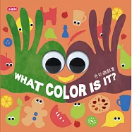 色彩遊戲書：WHAT COLOR IS IT?