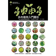 多肉肉多：多肉植物入門賞析