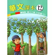 華文緬甸版課本第十二冊