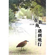 在街角，遇到飛行