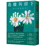 那不勒斯故事3逃離與留下