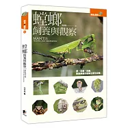 螳螂飼養與觀察
