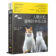 人類太忙，貓咪的事自己來