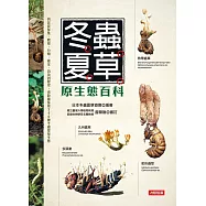 冬蟲夏草原生態百科