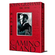 消失的費茲傑羅