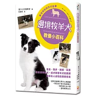 邊境牧羊犬教養小百科