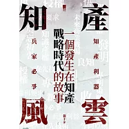 知產風雲：一個發生在知產戰略時代的故事