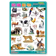 認識動物掛圖(捲式)