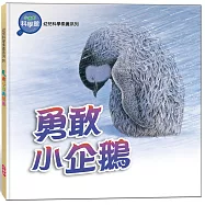勇敢小企鵝