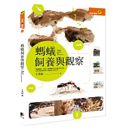 螞蟻飼養與觀察