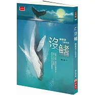 沒鰭：陳素宜生態童話