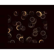 創造優雅靈魂 Jewellery design by Liliana