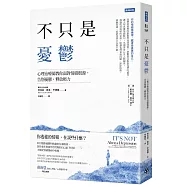 不只是憂鬱：心理治療師教你面對情緒根源，告別憂鬱，釋放壓力