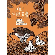 哇!公園有鷹